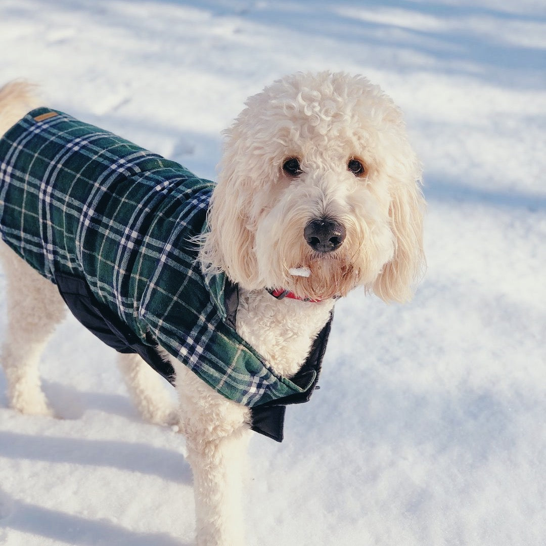 Plaid Reversible Dog Jacket for Winter