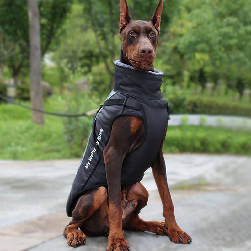 Outdoor Reflective Dog Jacket with Harness