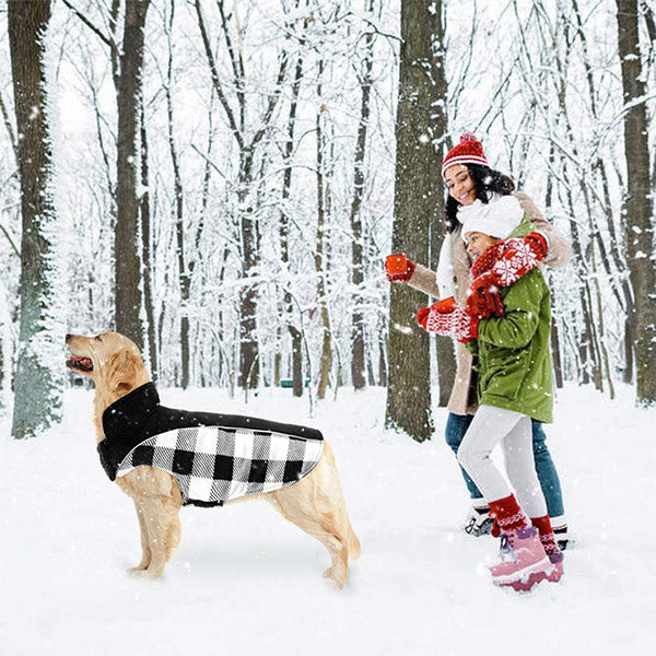 Scottish Plaid Reversible Dog Winter Jacket