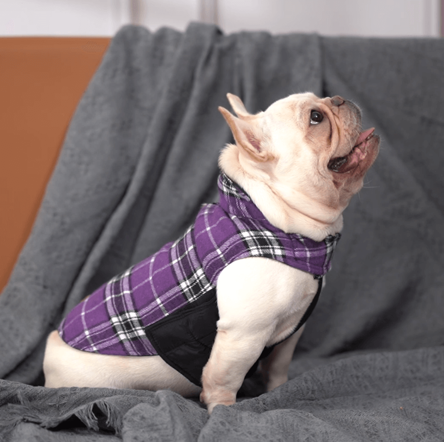 Plaid Reversible Dog Jacket for Winter