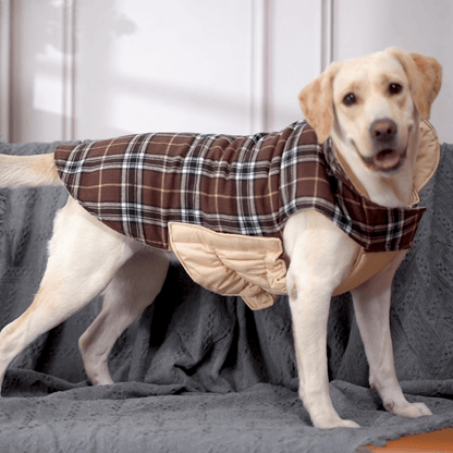 Plaid Reversible Dog Jacket for Winter