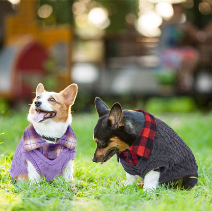 Dog Turtleneck Stitching Knitwear Sweater