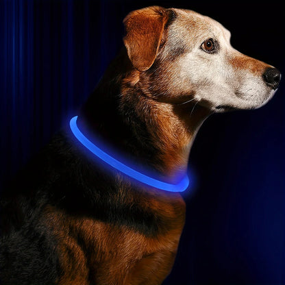 Rechargeable LED Dog Collar