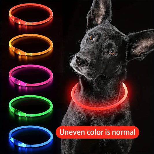 Rechargeable LED Dog Collar