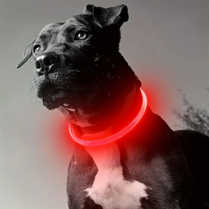 Rechargeable LED Dog Collar